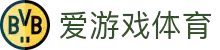 爱游戏(ayx)体育官方网站